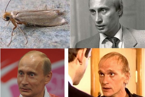 Ссылки кракен 2024
