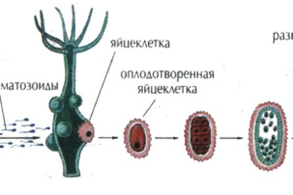 Пополнить кошелек кракен